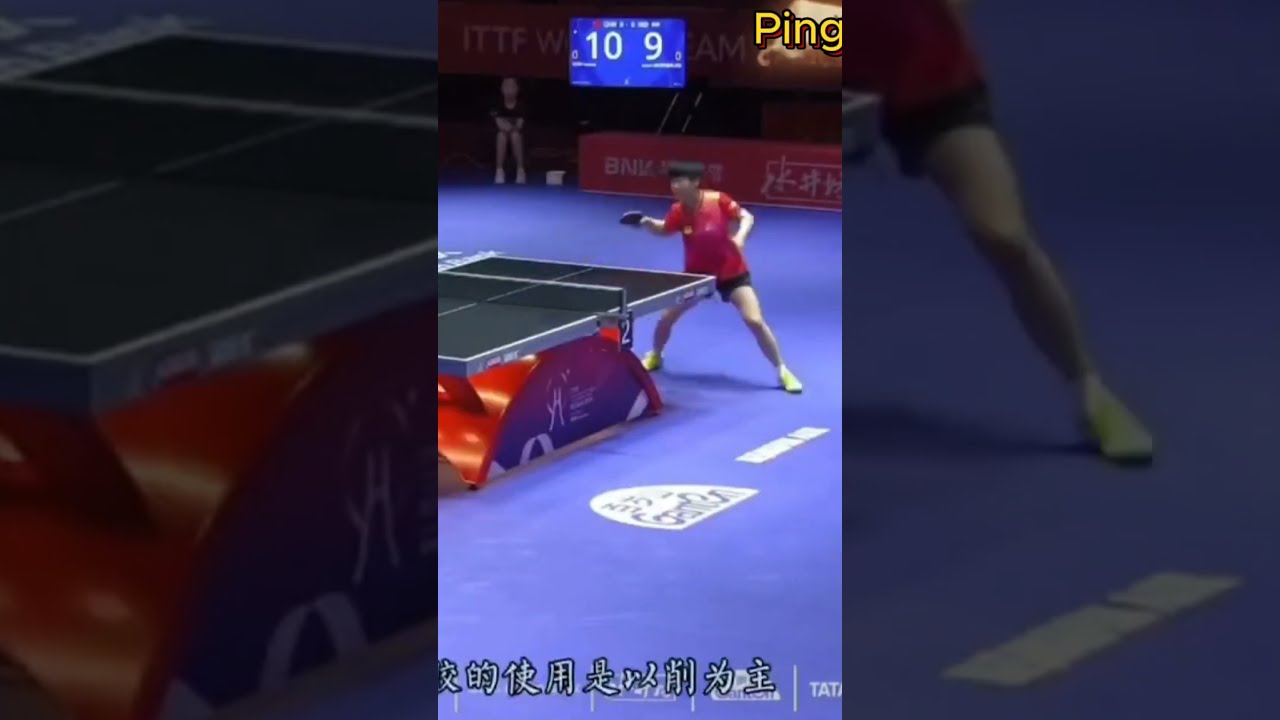 白罗斯是否