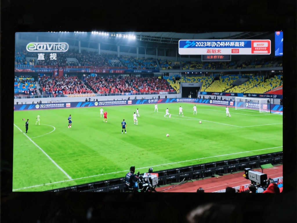 使球队立于 使球队立于