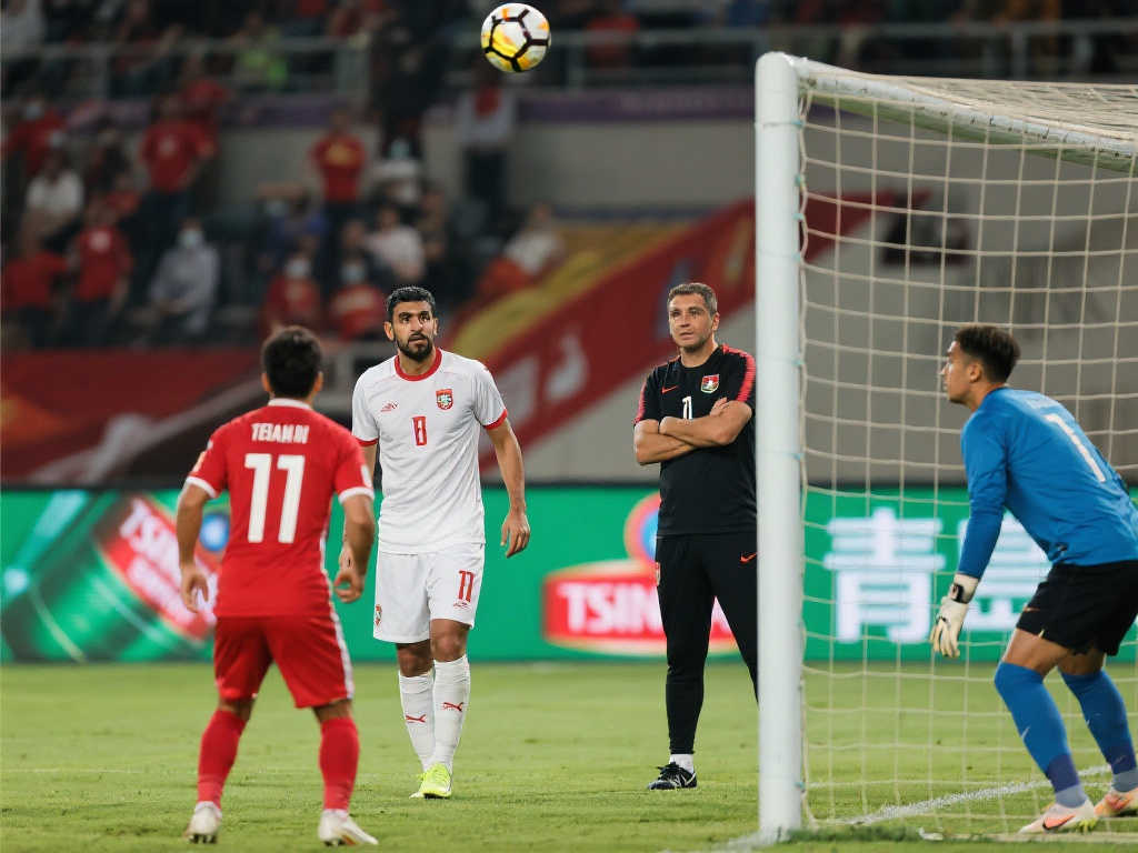 制定了详细 制定了详细